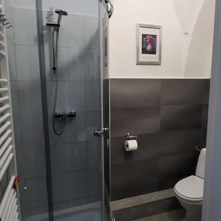 Studio Apartman Kezmarok Kieżmark